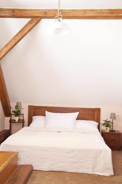 U Zlateho Lva Hotel Havlíčkův Brod